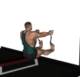 Reverse Row - Resistance Tube Seated Single